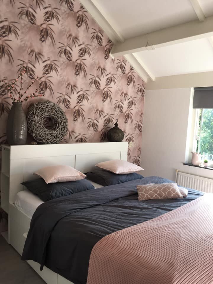 Edward  van Vliet Dimensions 219546 morning mist pink