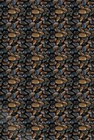 Behangexpresse Wallpaper Queen Materials Fotobehang ML289