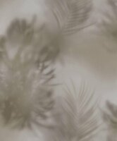 Edward  van Vliet Dimensions 219547 morning mist taupe