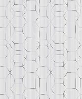 BN Wallcoverings Dimensions 219600 - wit met grijs by Edward van Vliet