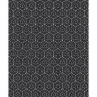   zwart zilver soft diamond dust escher effect grafisch by edward van vliet