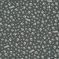 the face of the master  KARL LAGERFELD  vinyl op vlies