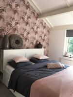 Edward  van Vliet Dimensions 219546 morning mist pink