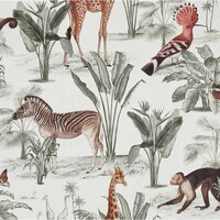 the queens zoo  off white  vlies