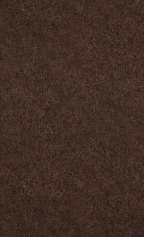 BN Wallcoverings Raw Matters 218855 urban  dark brown betonlook vlies 