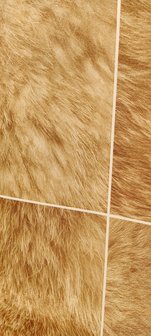 The Animal Collection   lion  fur MG4022 (Met soft diamonddust Glitter) !