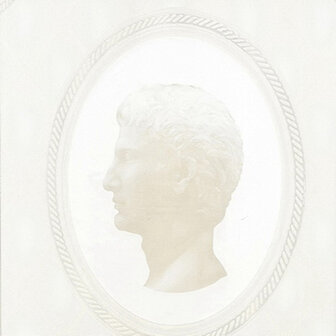 pakket 5 rol 47012 ceasars medallion white of white 2 e foto  andere kleur voorbeeld patroon 