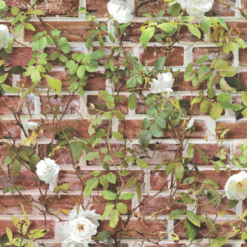 romantic roses on my cottage wall papier behang
