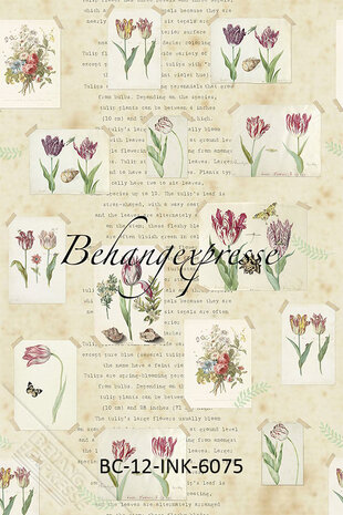 Behangexpresse Color Choc Tulips Fotobehang INK6075