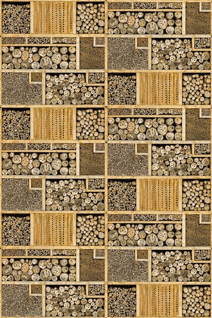 Behangexpresse Wallpaper Queen Materials Fotobehang ML272-saving nature