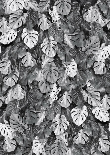 Behangexpresse Light &amp; Dark Fotobehang INK7359