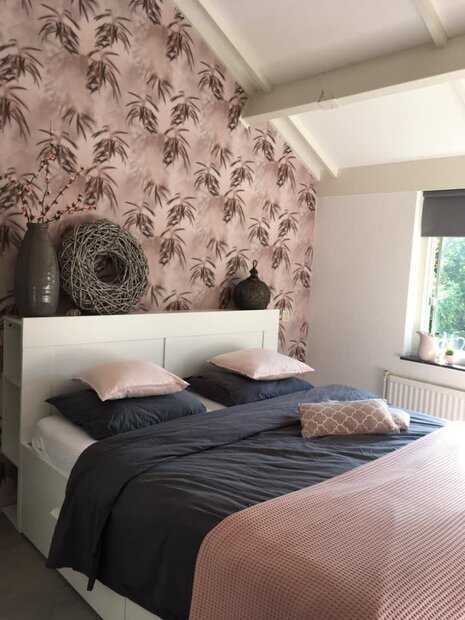 Edward  van Vliet Dimensions 219546 morning mist pink