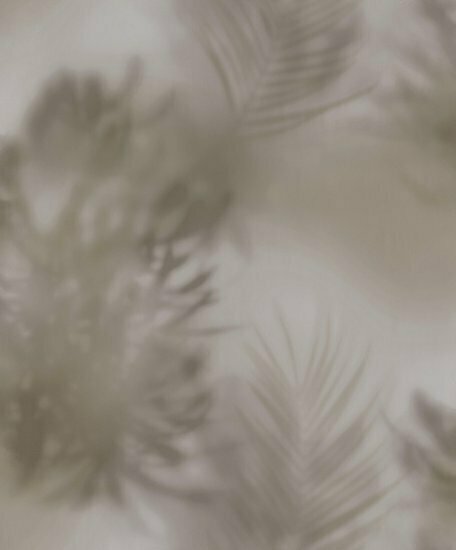 Edward  van Vliet Dimensions 219547 morning mist taupe