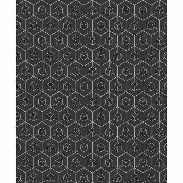   zwart zilver soft diamond dust escher effect grafisch by edward van vliet