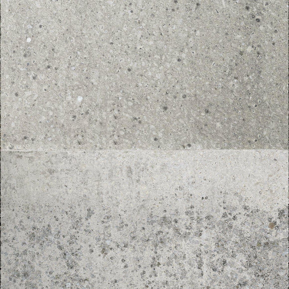 NLXLConcrete Wallpaper By Piet Boon CON-05