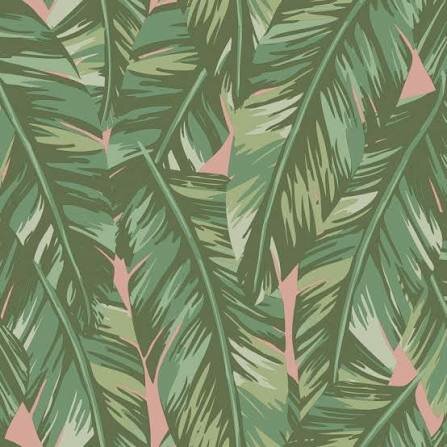 jungle fever 