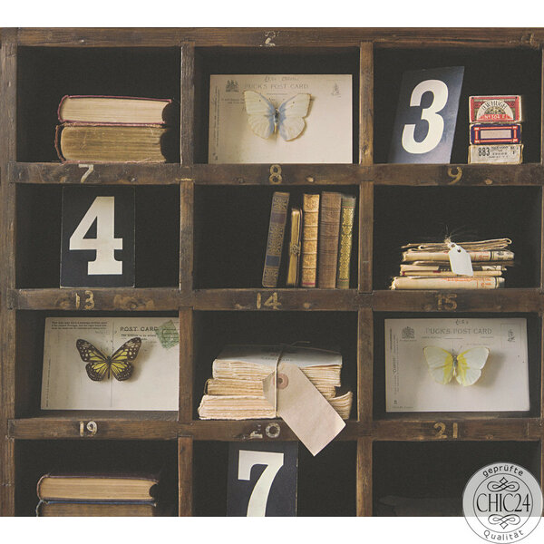 collectors bookcase  vinyl op vlies