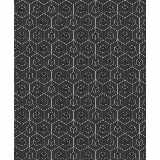   zwart zilver soft diamond dust escher effect grafisch by edward van vliet