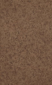 BN Wallcoverings Raw Matters 218857 urban  middle brown betonlook vlies 